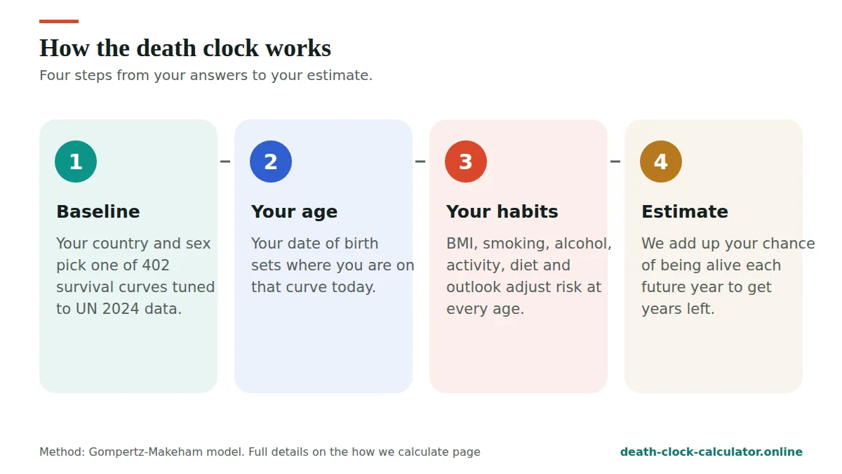 How the death clock calculator works in four steps: baseline, your age, your habits, estimate